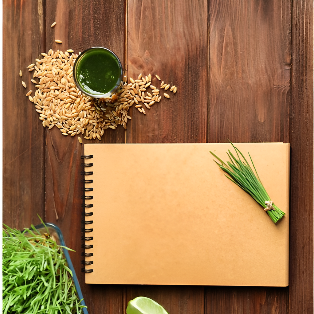 Seed Notebook - Image 1